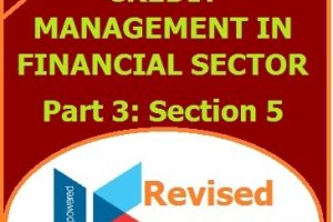 Credit Management In Financial Sector