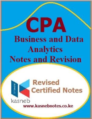 Business and Data Analytics notes and Revision