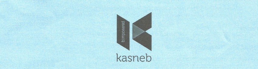 KASNEB-CPA-PAST-PAPERS-AND-ANSWERS