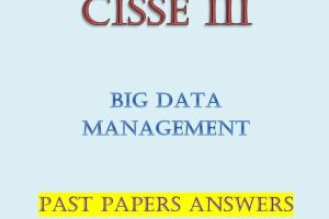 BDM Past Paper Answers