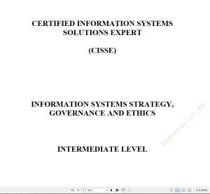 Information Systems Strategy Governance and Ethics notes