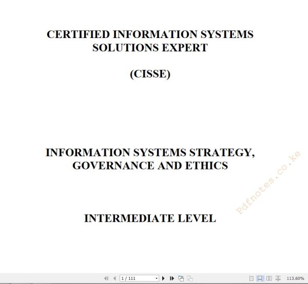 Information Systems Strategy Governance and Ethics notes