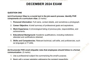 December 2024 Communication Skills and Records Management Past Paper Answers