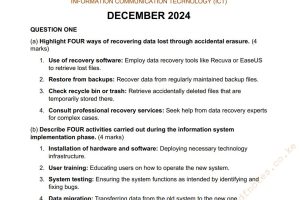 December 2024 Information Communication Technology (ICT) Past Paper Answers