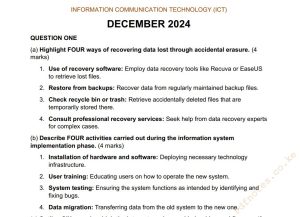 December 2024 Information Communication Technology (ICT) Past Paper Answers