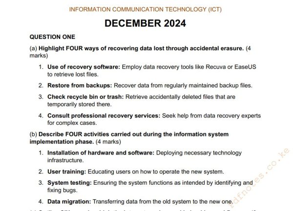 December 2024 Information Communication Technology (ICT) Past Paper Answers