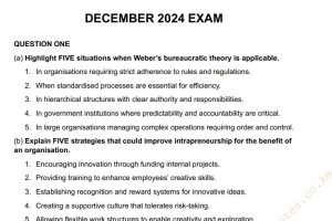 December 2024 Management Principles and Practice Past Paper Answers
