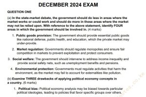 December 2024 Public Sector Governance, Policy and Administration Past Paper Answers