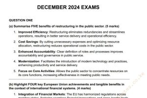 December 2024 Advanced Financial Management Answers (Copy)