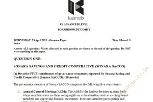 April 2025 Boardroom Dynamics Past Paper Answers