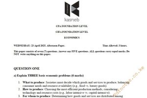 April 2025 CPA Economics Past Paper answers