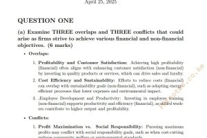April 2025 CPA Financial Management Past Paper answers