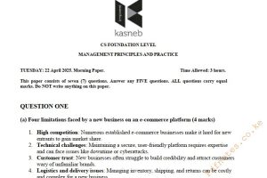 April 2025 Management Principles and Practice Past Paper Answers