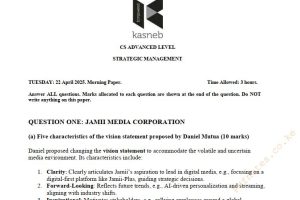 April 2025 Strategic Management Past Paper Answers