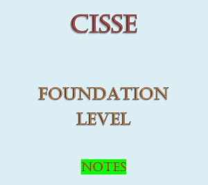 CISSE Foundation Level notes