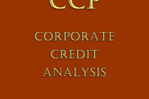 Corporate Credit Analysis Past Papers answers (Revision Kit)
