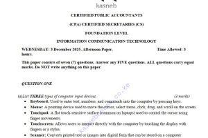 DECEMBER 2025 ICT CPA CS Past Paper answers