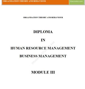Organizational Theory and Behaviour notes KNEC Diploma