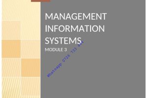 Management Information System(MIS) Pdf KNEC notes