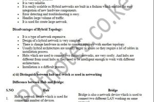 Data Communication and Networking Past papers Questions and Answers